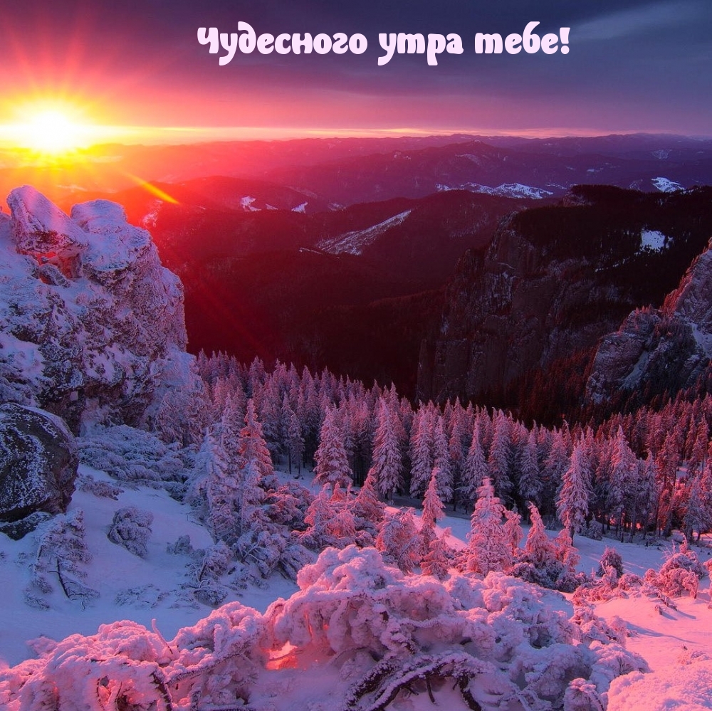Картинка: Чудесного утра тебе!