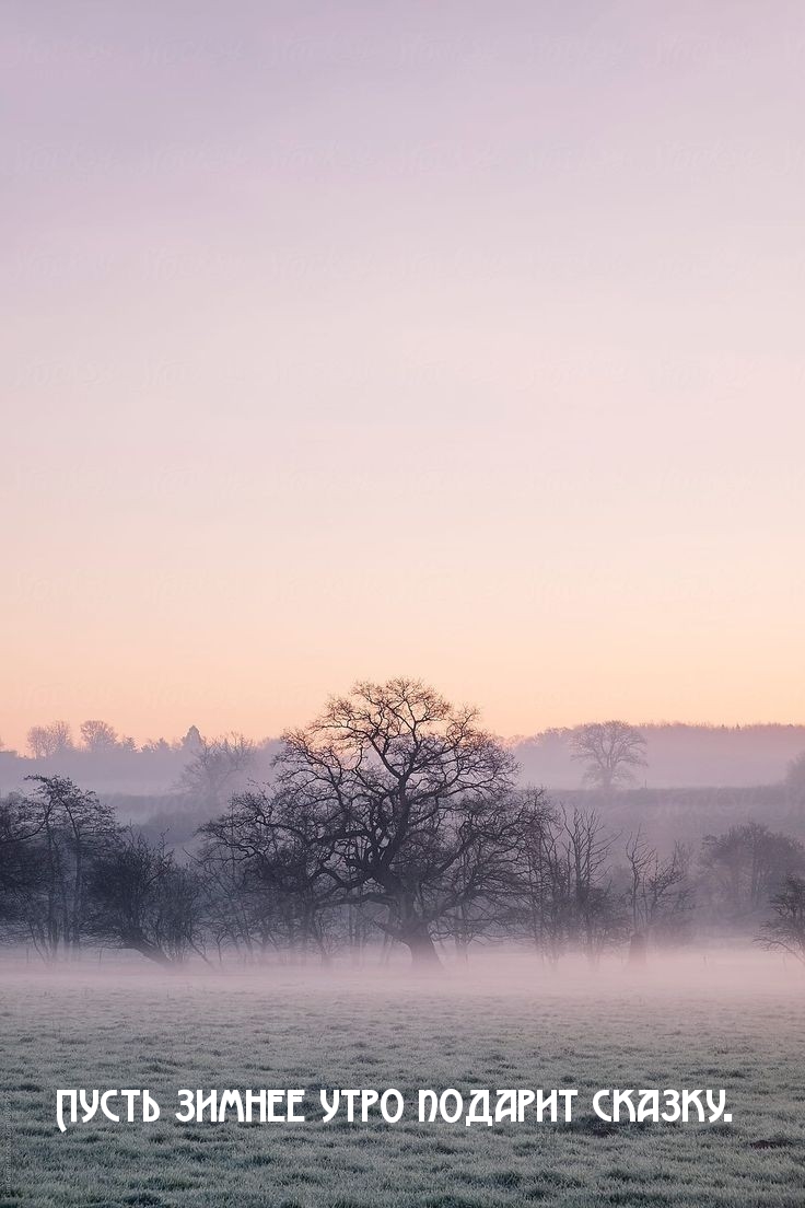 ��������: ����� ������ ���� ������� ������.