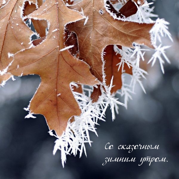 ��������: �� ��������� ������ �����.