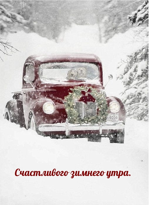 ��������: ����������� ������� ����.