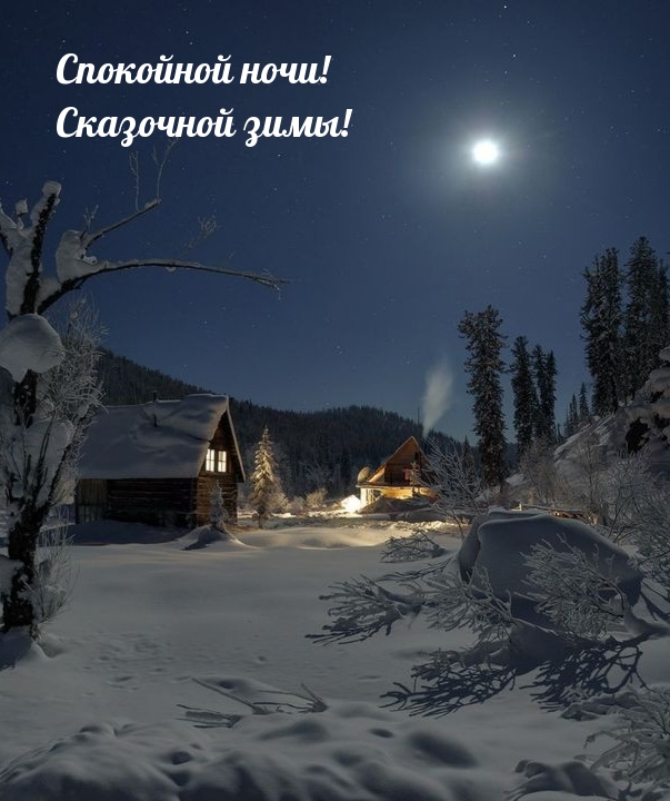 Картинка: Спокойной ночи! Сказочной зимы!
