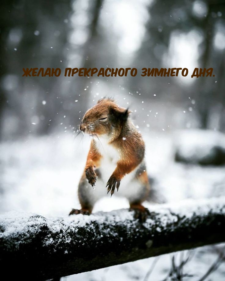 ��������: ����� ����������� ������� ���.