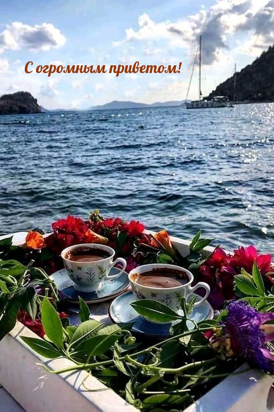 � �������� ��������!