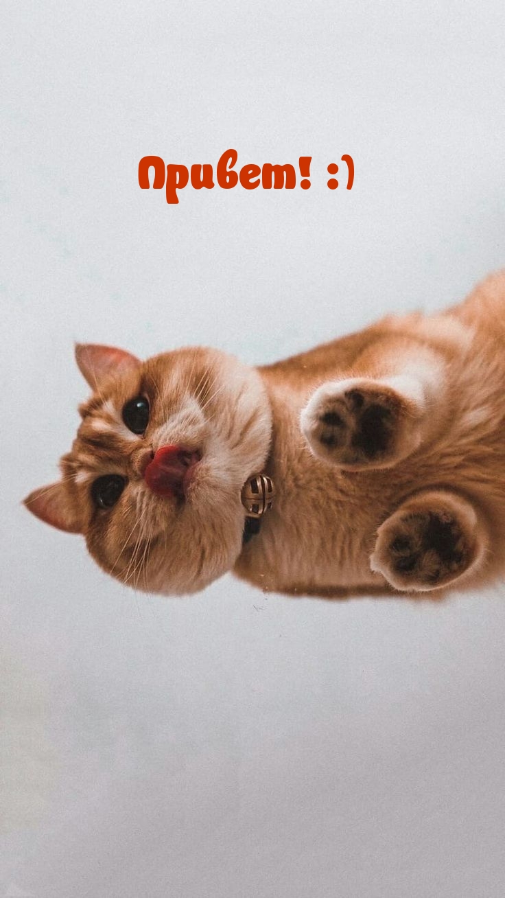 ��������: ������! :)