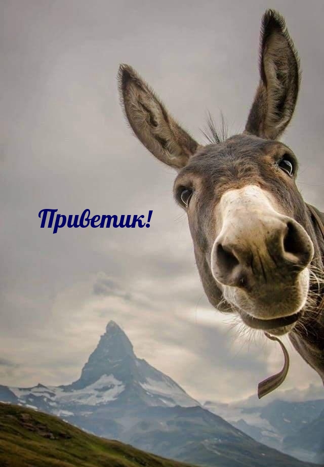��������!