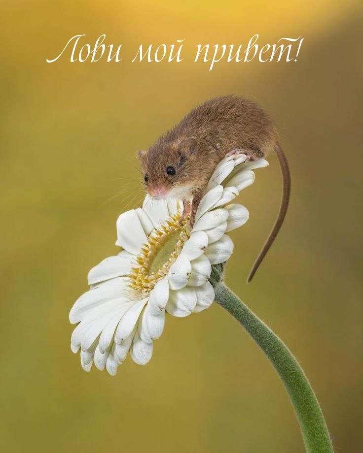 ��������: ���� ��� ������!