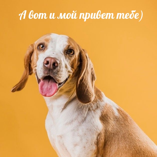 ��������: � ��� � ��� ������ ����)