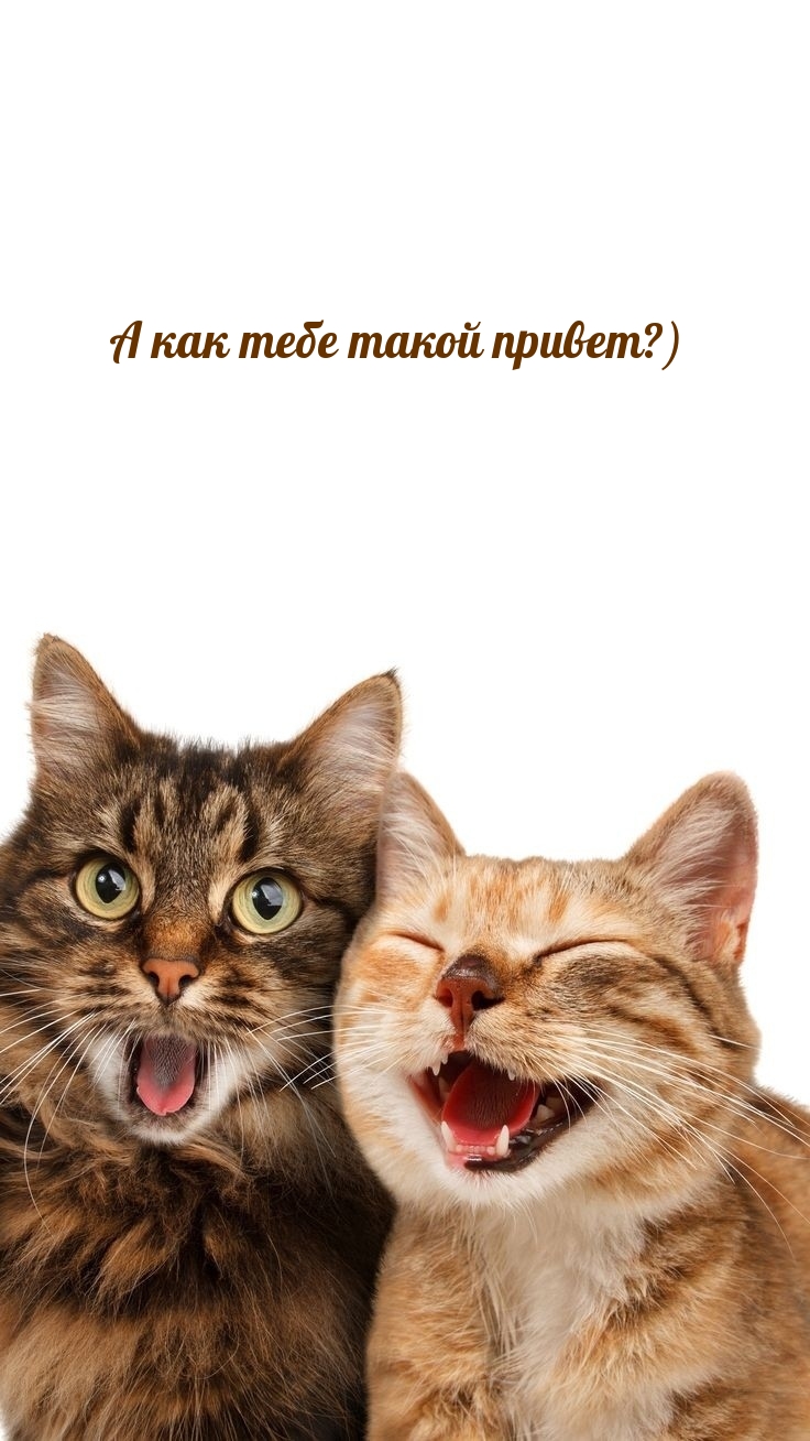 � ��� ���� ����� ������?)