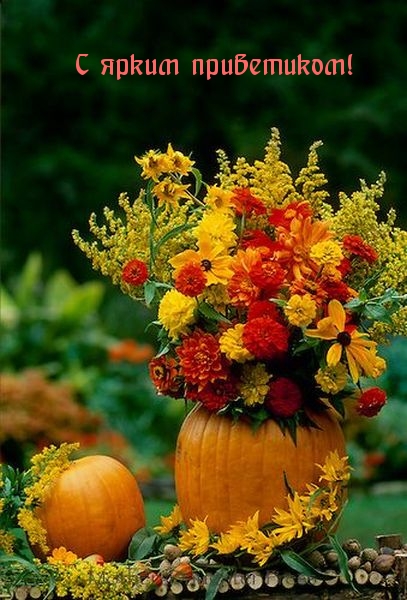 � ����� ����������!