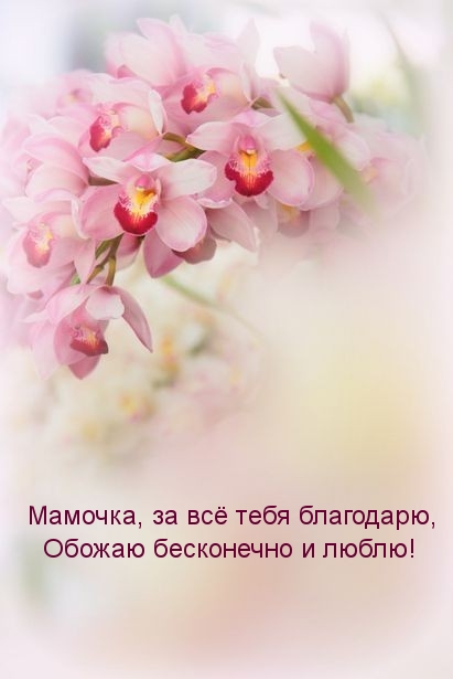 ��������: �������, �� �� ���� ���������, ������ ���������� � �����!