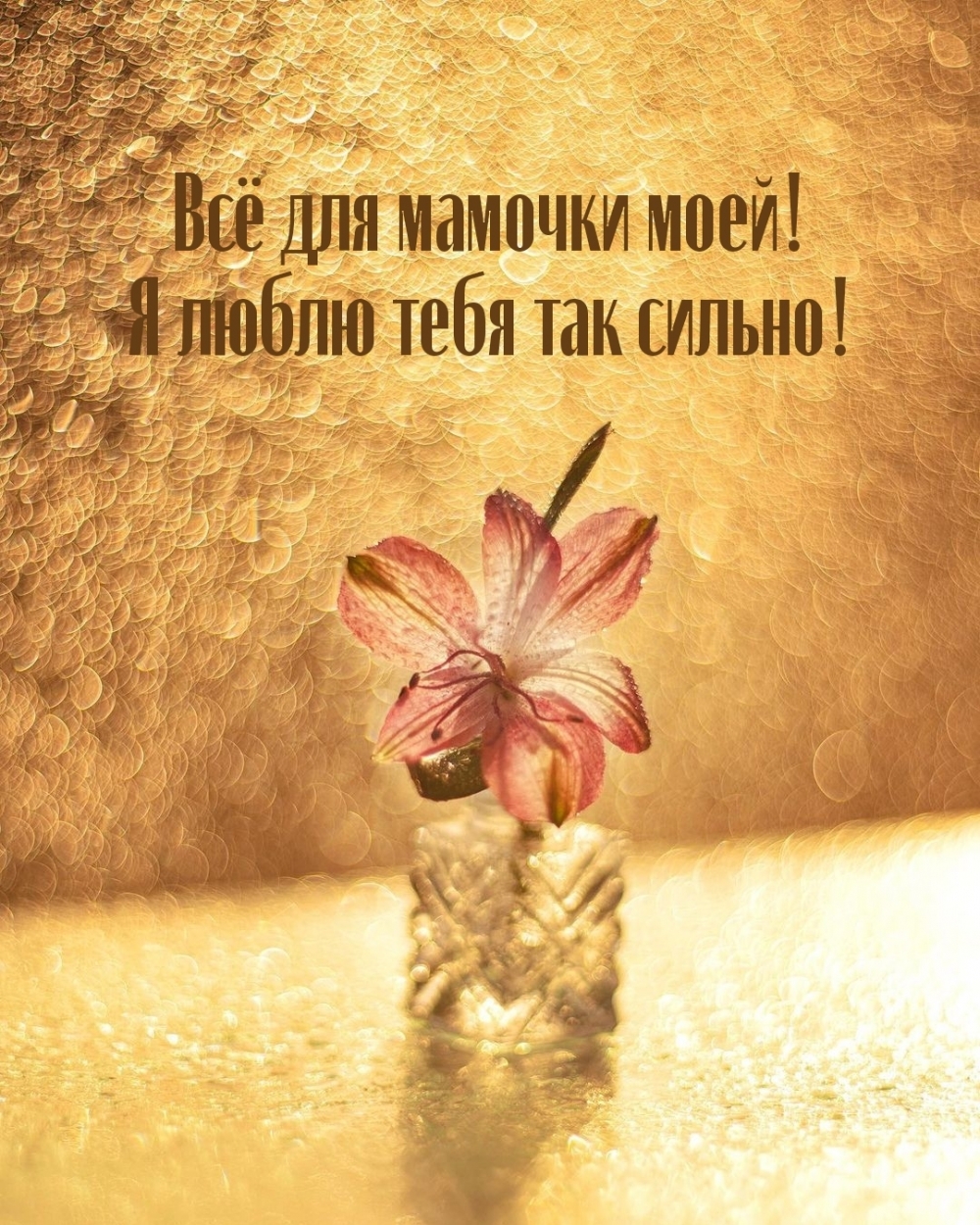 ��������: �� ��� ������� ����! � ����� ���� ��� ������!