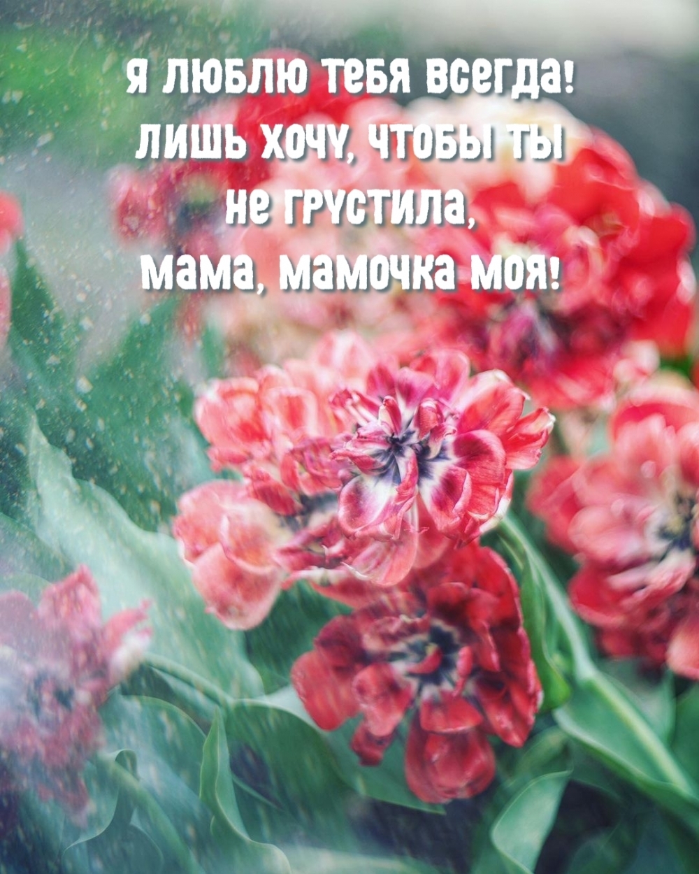 ��������: � ����� ���� ������! ���� ����, ����� �� �� ��������