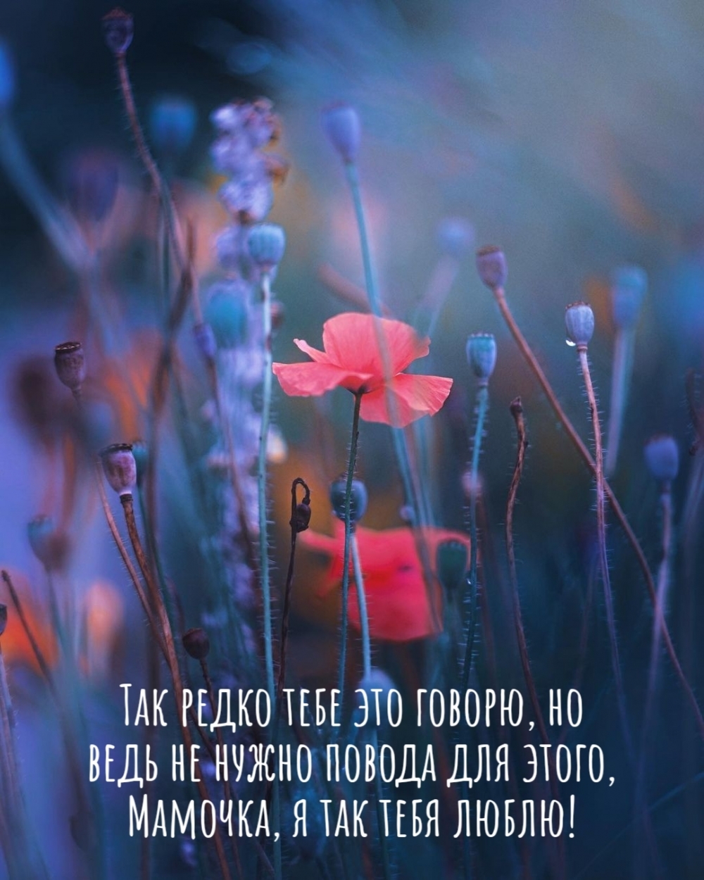 ��������: �������, � ��� ���� �����