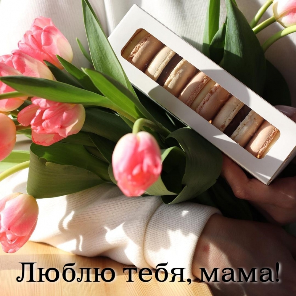��������: ����� ����, ����!