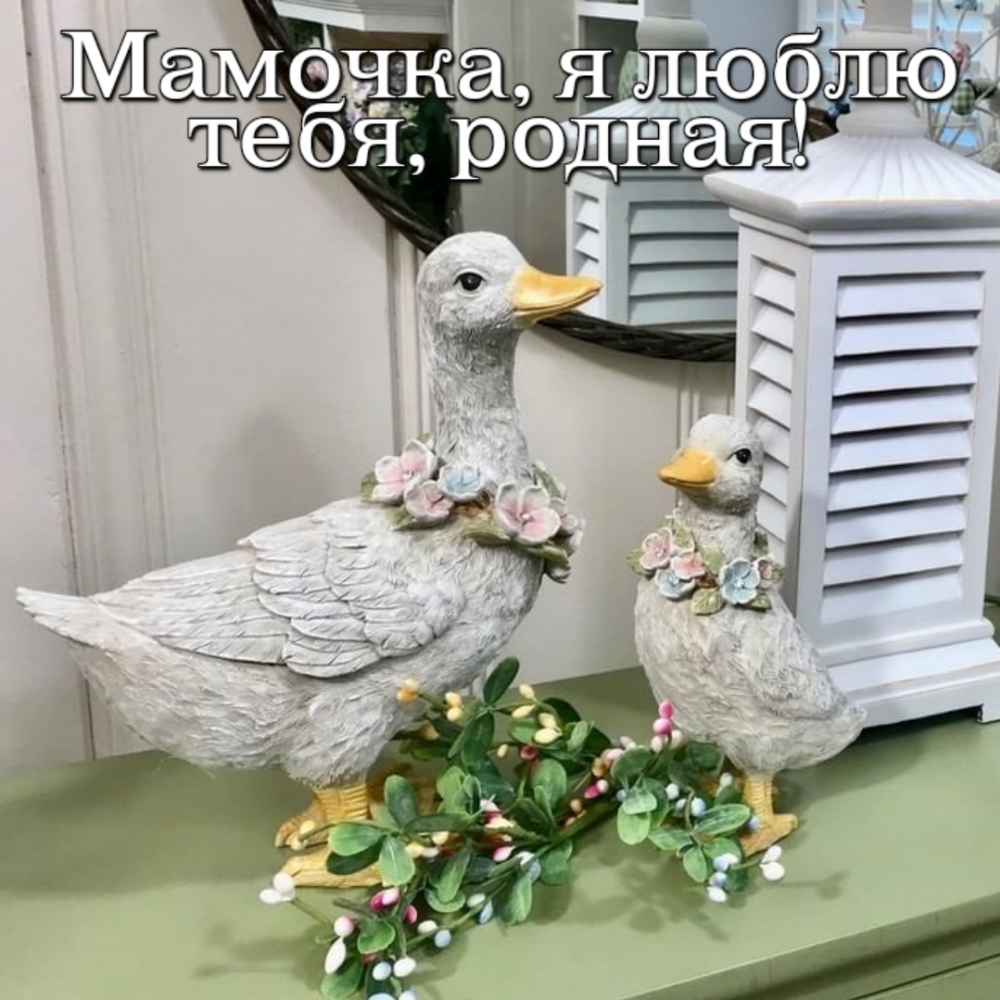 �������, � ����� ����, ������!