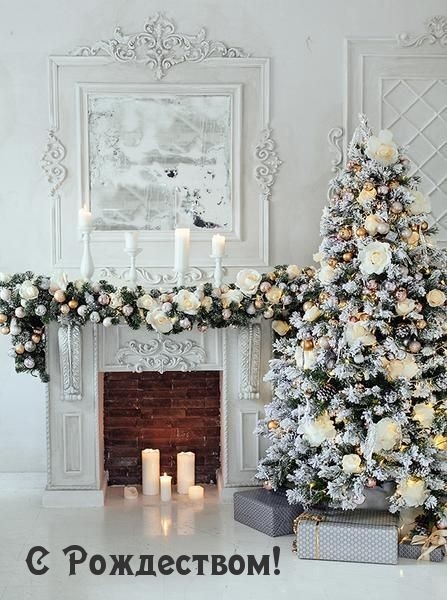 ��������: � ����������!