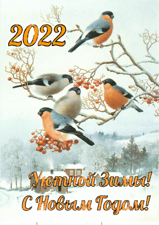 Картинка: Уютной зимы С Новым годом  2022