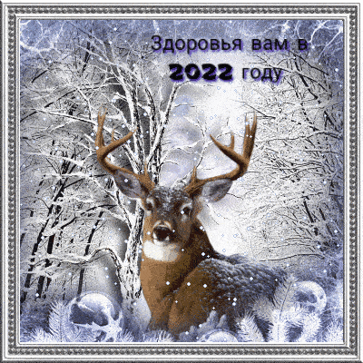 �������� ��� � 2022 ���� 