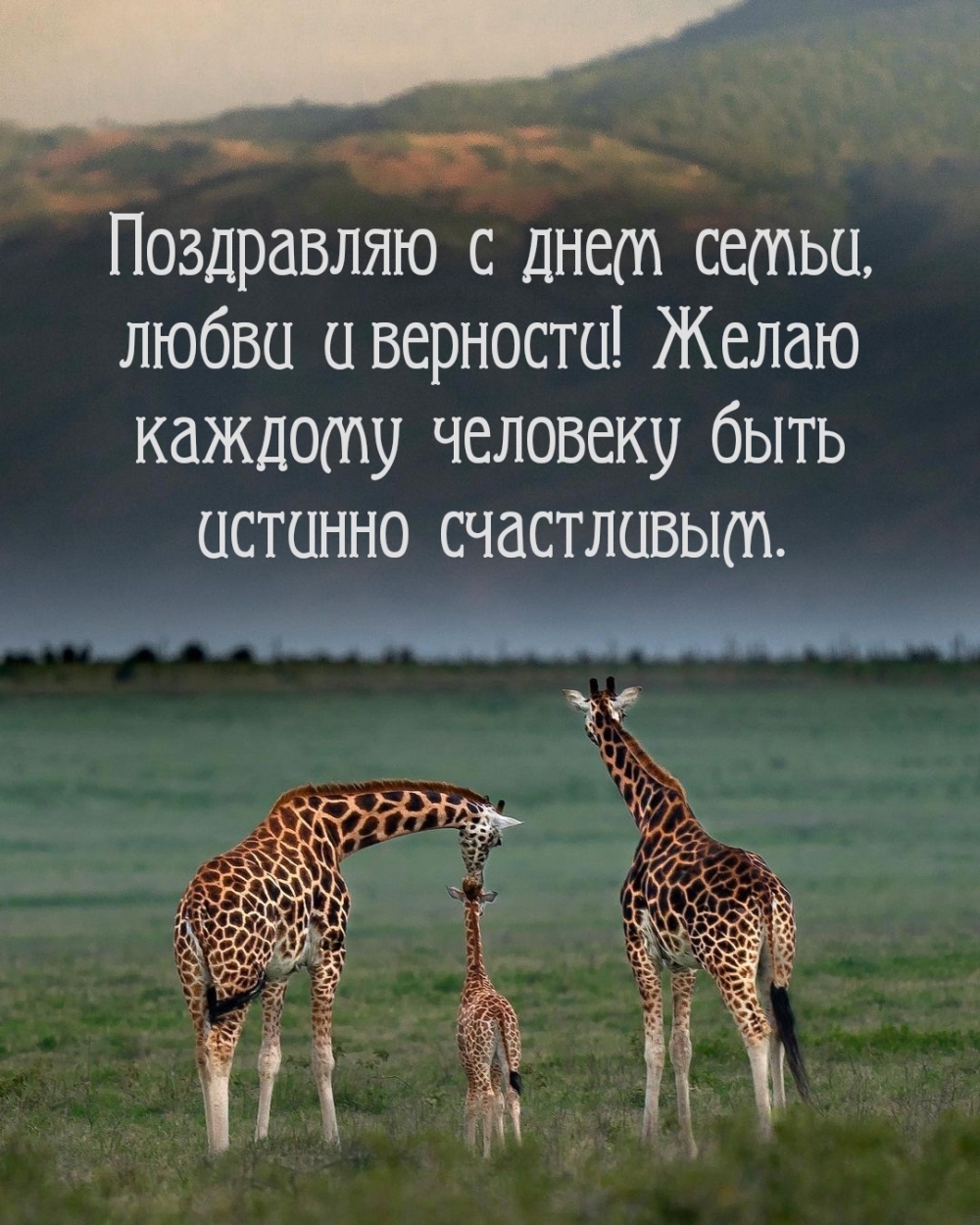 Картинка: Поздравляю с днем семьи, любви и верности!