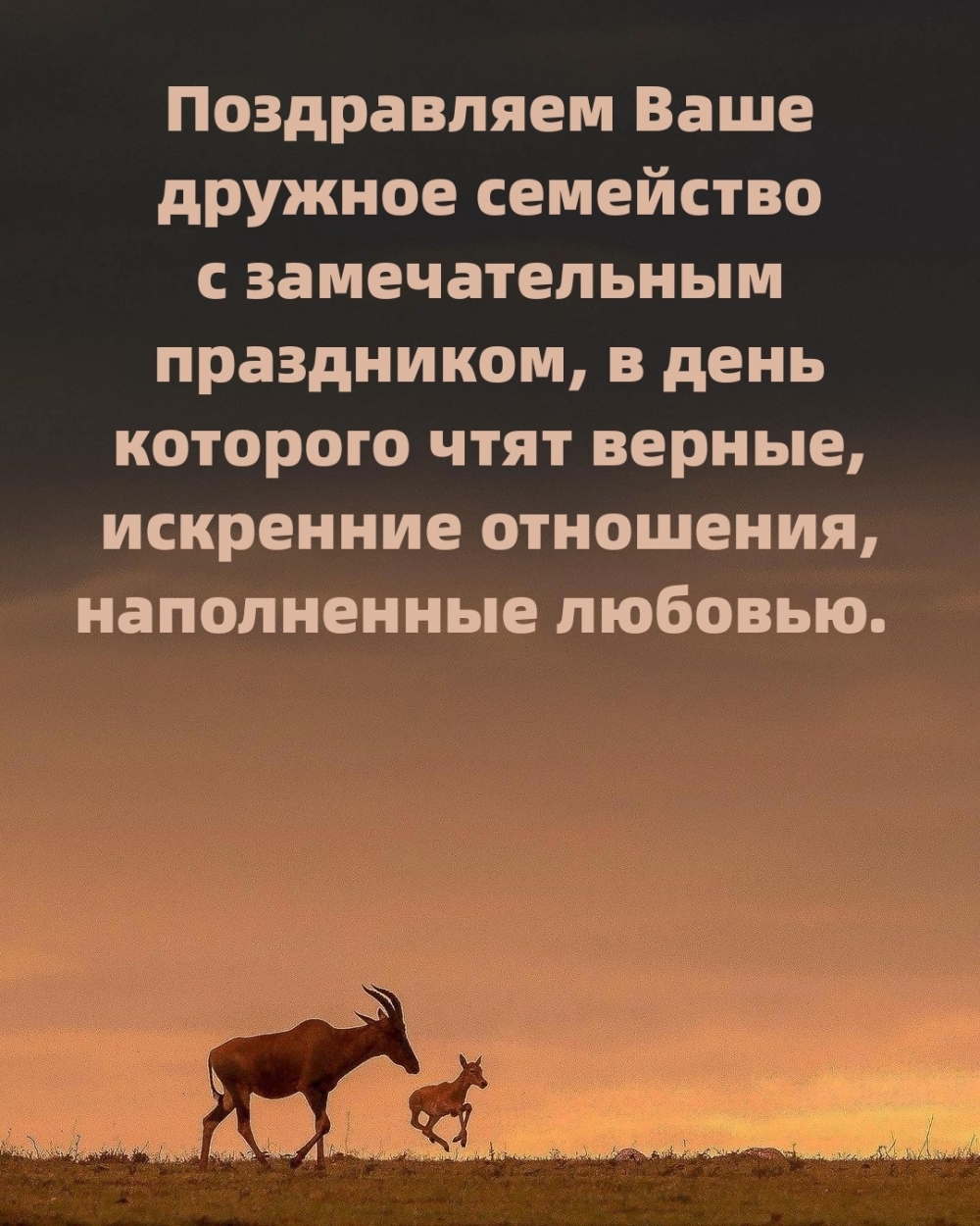 ����������� ���� ������� ��������� �������������� ����������