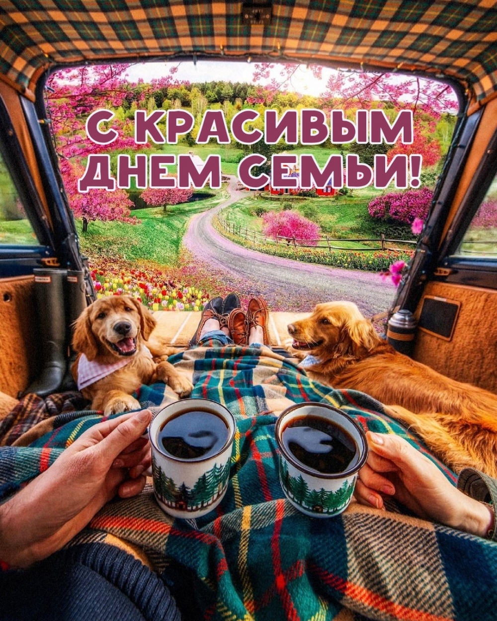 Картинка: С красивым днем семьи!