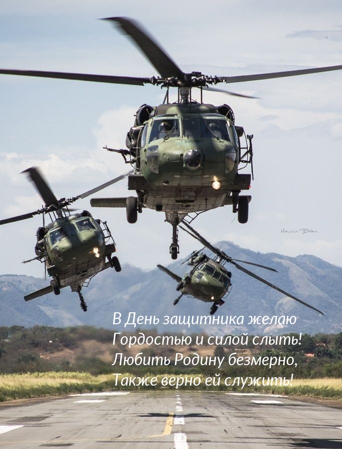 Картинка: В День защитника желаю гордостью и силой слыть!